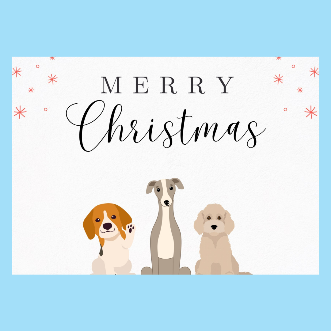 105mm x 148mm (A6) Christmas Appreciation Cards