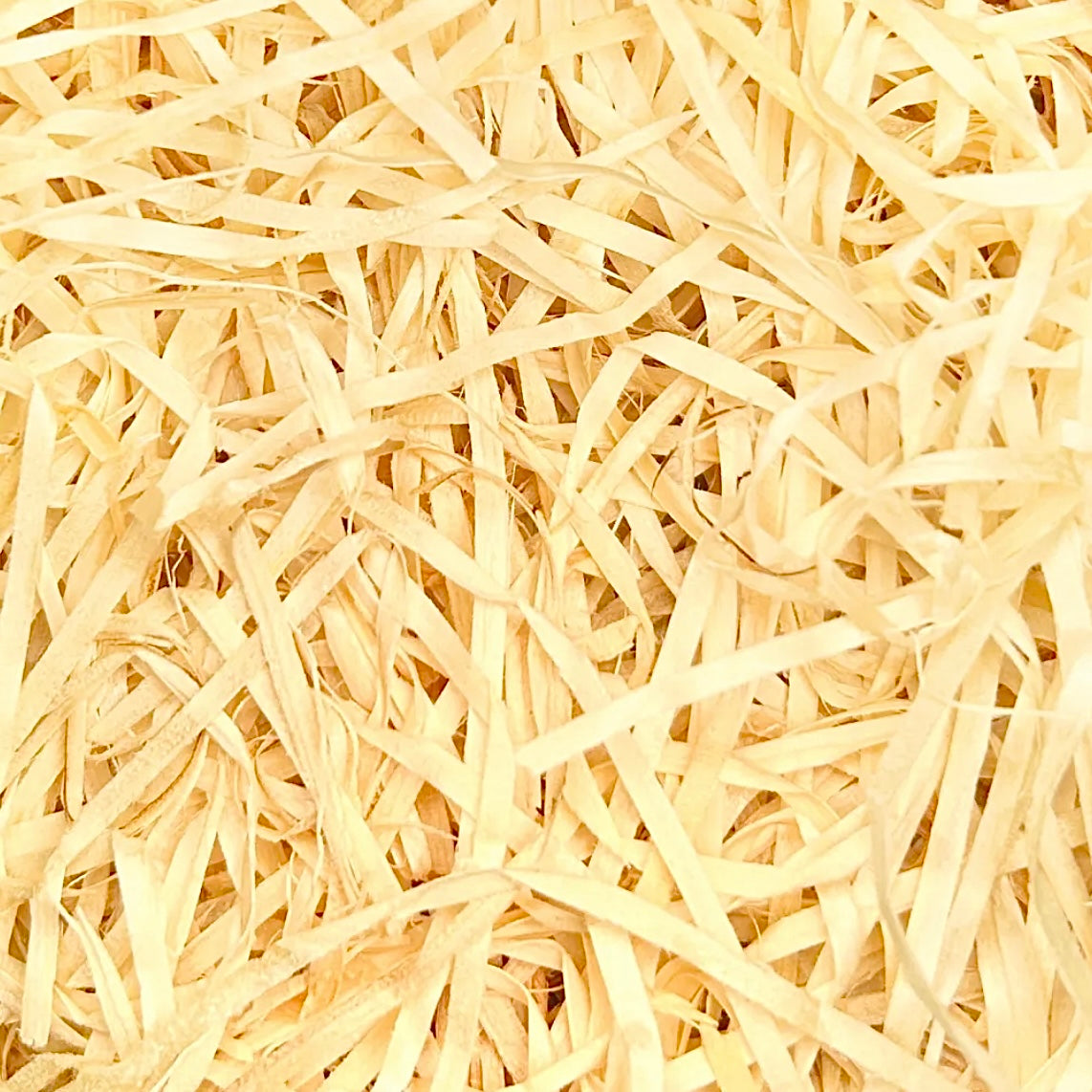 Kiln Dried Wood Wool (2mm)