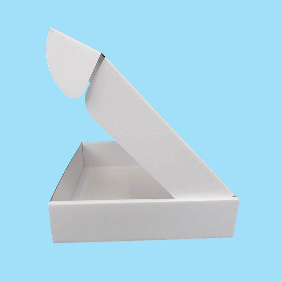White 236 x 196 x 47mm Postal Boxes (Small Parcel)