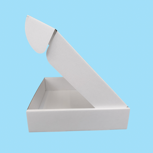 White 236 x 196 x 47mm Postal Boxes (Small Parcel)