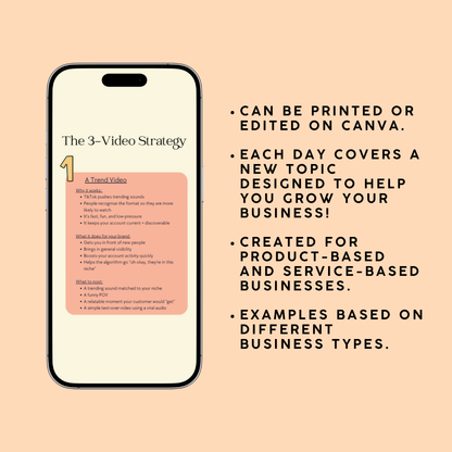 30K in 30 Days Workbook & Guide (Digital)