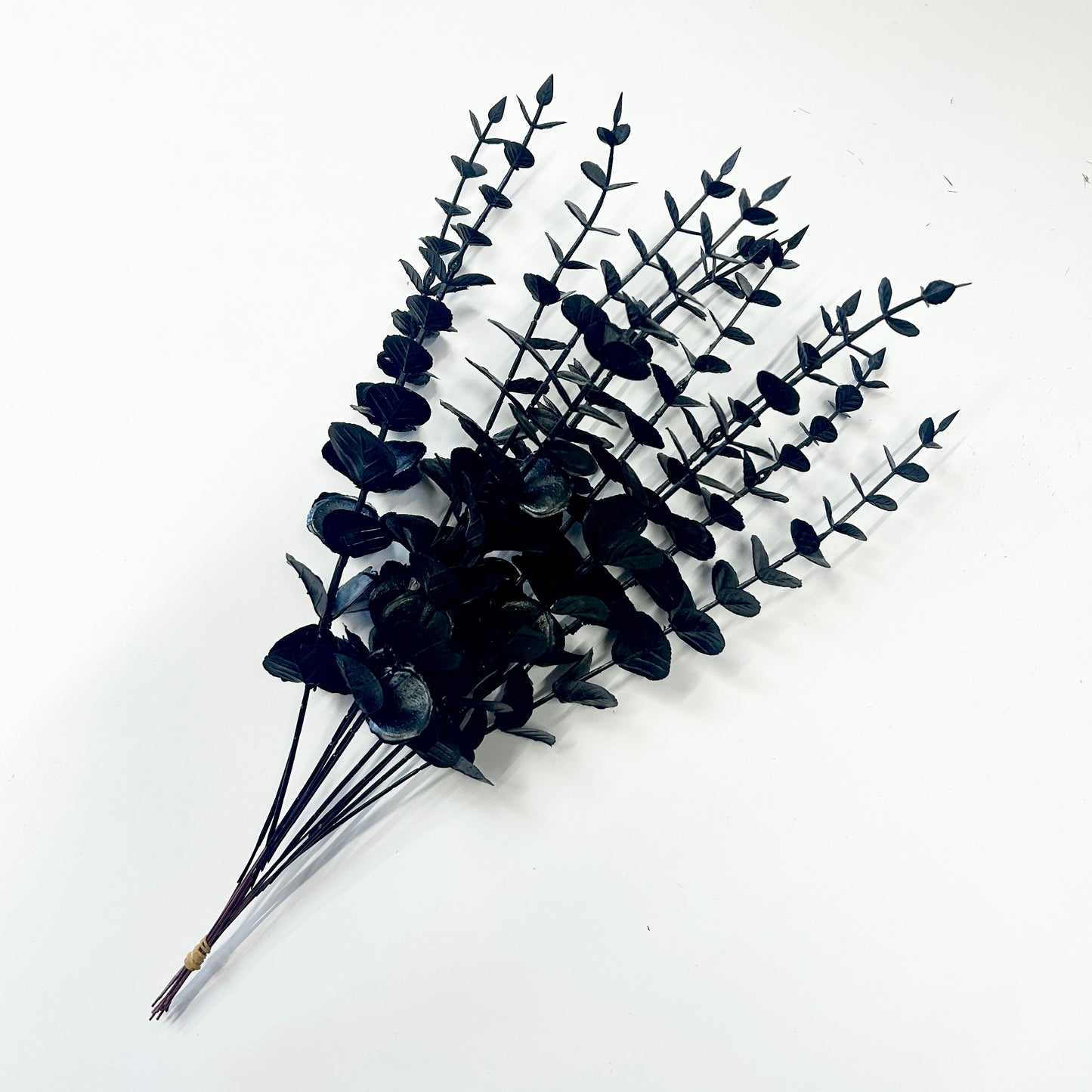 Black Eucalyptus Stem (Set of 6)