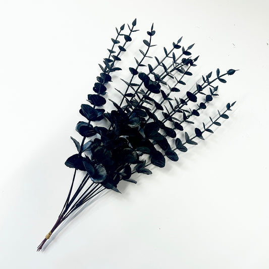 Black Eucalyptus Stem (Set of 6)
