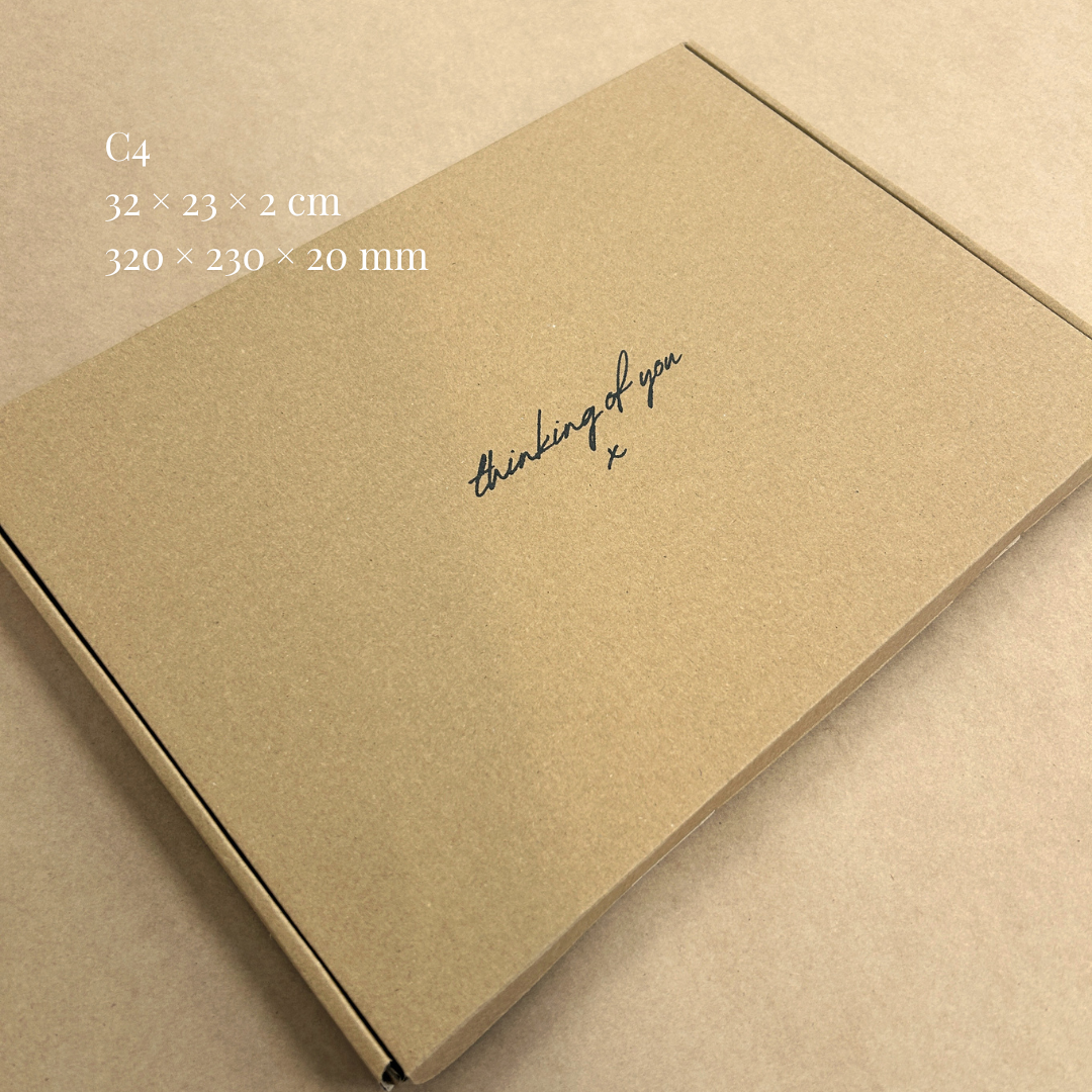 Printed Brown Postal PIP Boxes (Large Letter)