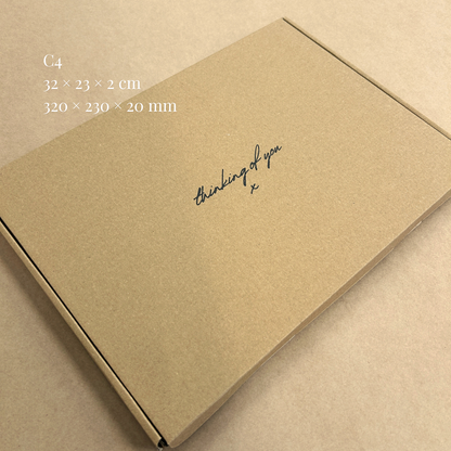 Printed Brown Postal PIP Boxes (Large Letter)