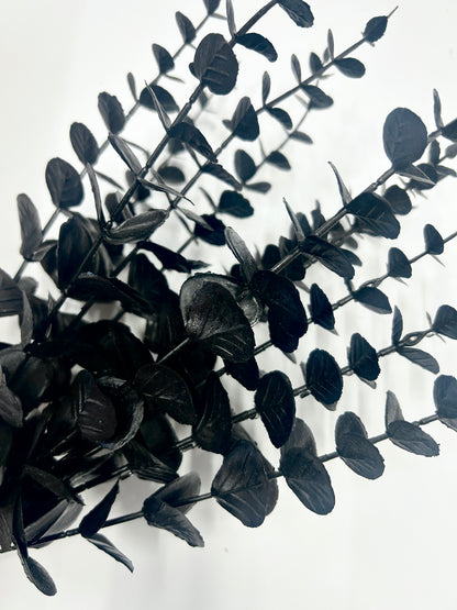 Black Eucalyptus Stem (Set of 6)