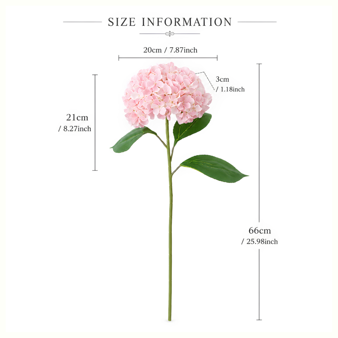 Hydrangea Stems