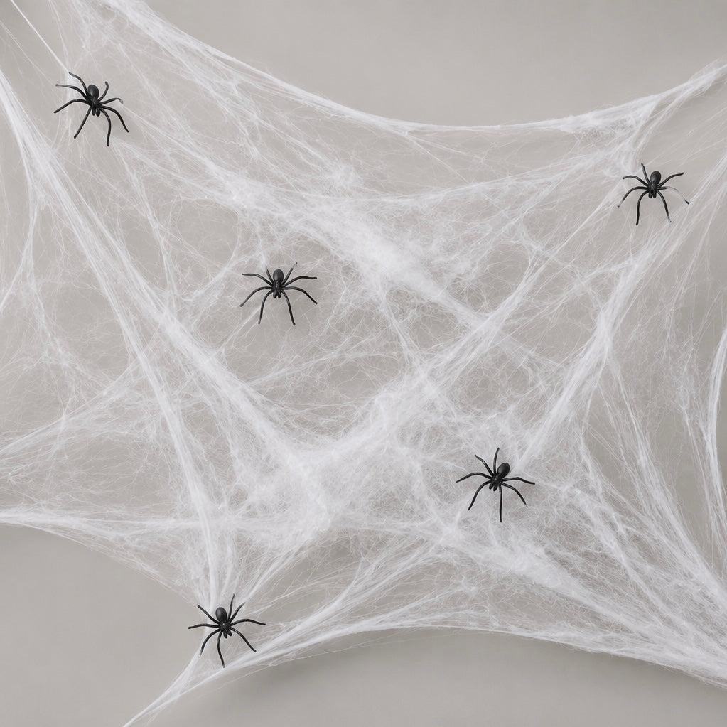 Spider's Web